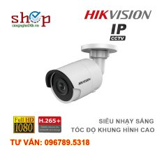 Camera IP hồng ngoại 2.0 Megapixel HIKVISION DS-2CD2025FHWD-I Siêu nhạy sáng