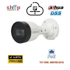 Camera IP hồng ngoại 4.0 Megapixel DAHUA DS2431SFIP-S2