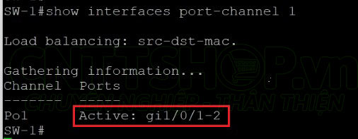show interfaces port-channel 1