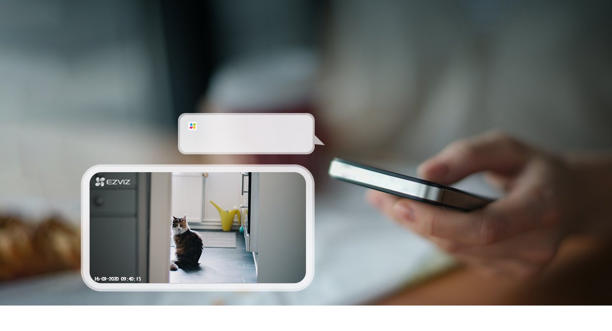 Cảnh báo chuyển động gửi về điện thoại