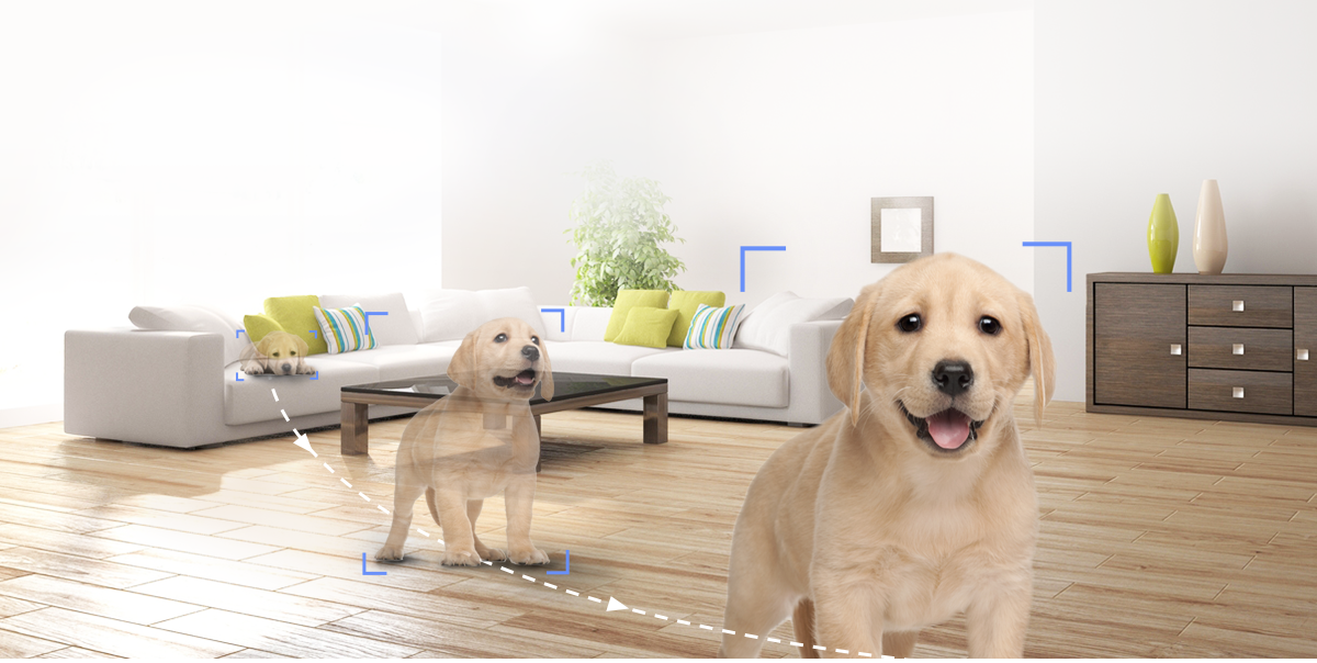 C6N tự động bám theo chú chó đang chạy