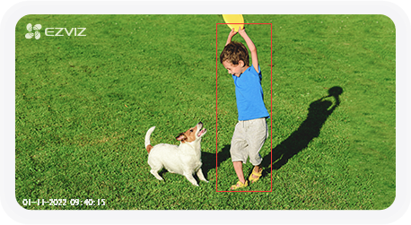 Camera nhận diện người đang chơi với chó