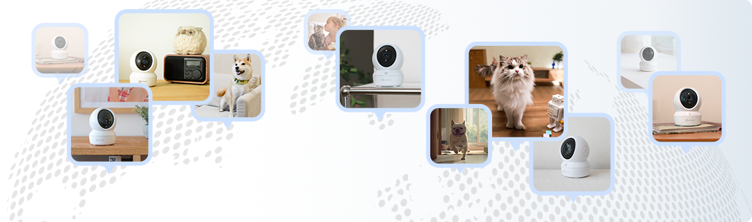 Camera dòng C6N được dùng khắp thế giới