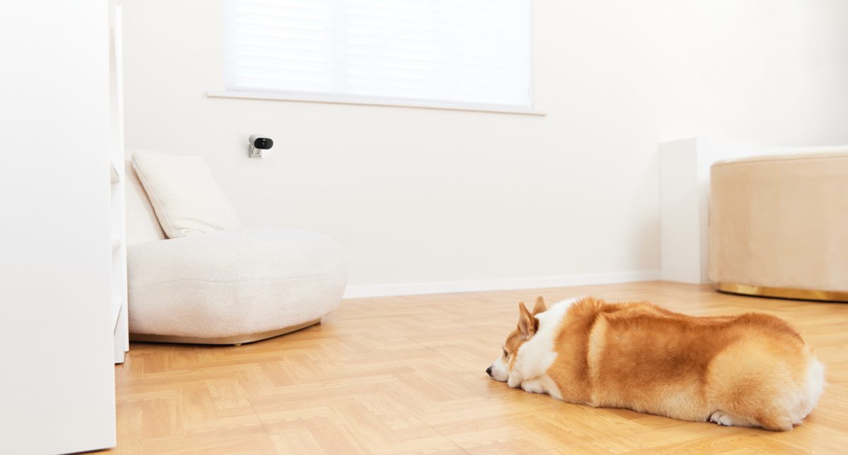 Nói chuyện với chú chó qua camera Versa